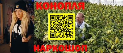 Альфа ПВП Тулун