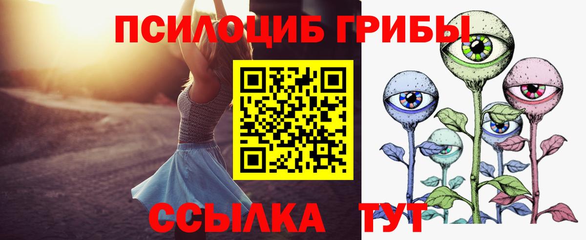 Сокол  Псилоцибиновые грибы MAGIC MUSHROOMS  Вход с VPN  Галлюциногенные грибы прущие грибы 